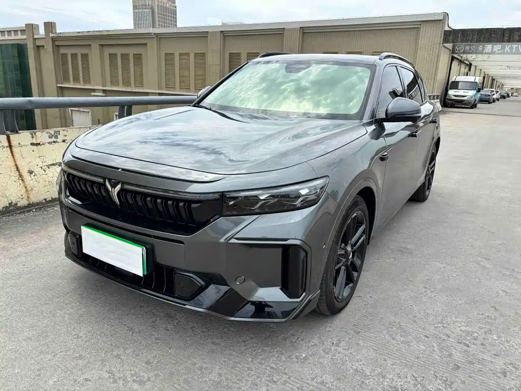 Voyah Free 2026 2025 318 318km RWD Touring Edition