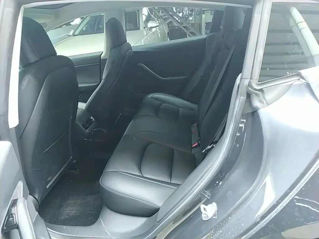 Tesla Model 3 2020 2020 Standard Range Rear-Wheel Drive Upgrade