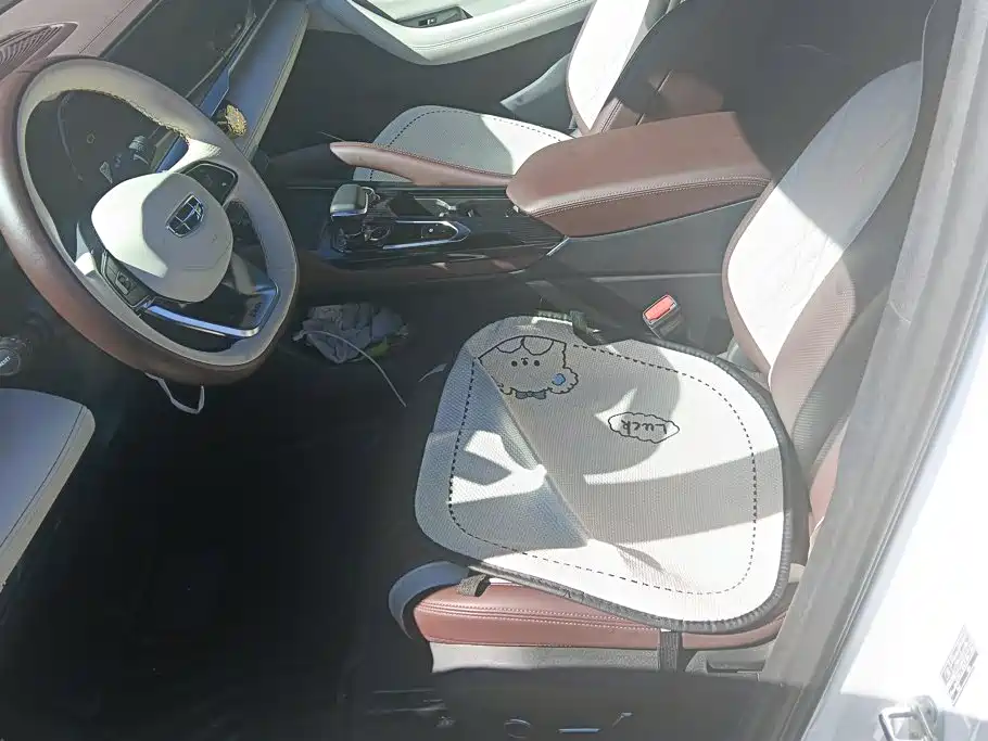 Фото 9 - Geely Monjaro