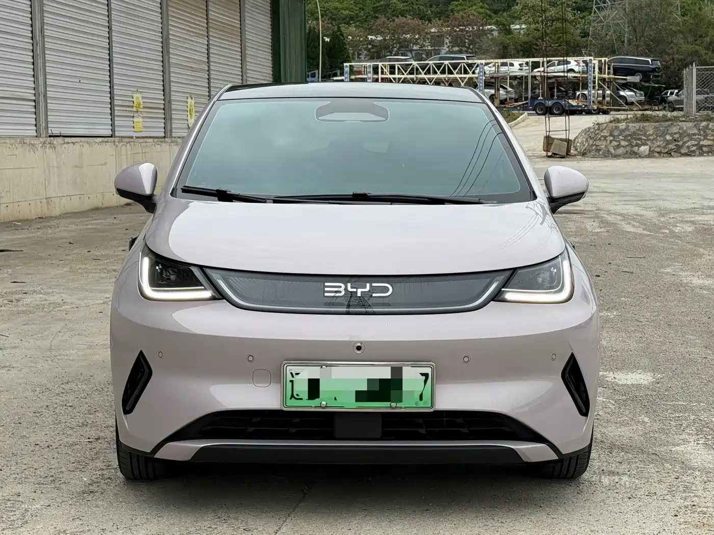 BYD Dolphin 2025 Smart Drive Edition 410km Fashion Version фото 2