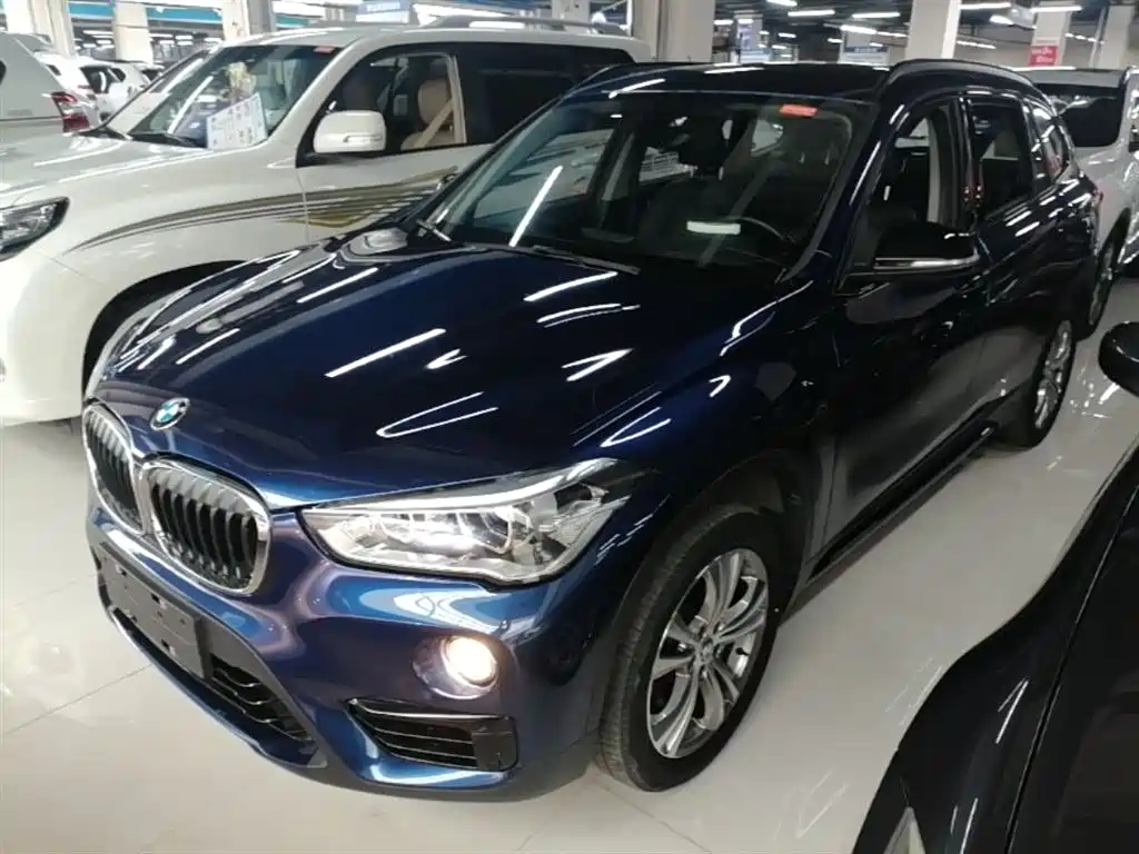 BMW X1 2019 xDrive20Li Luxury Model фото 2