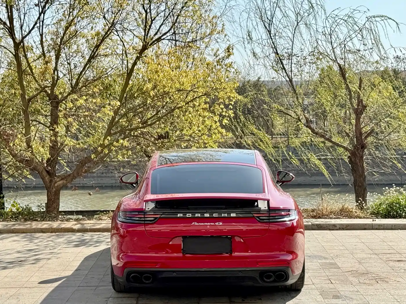 Porsche Panamera 2017 Panamera 4S 2.9T фото 3
