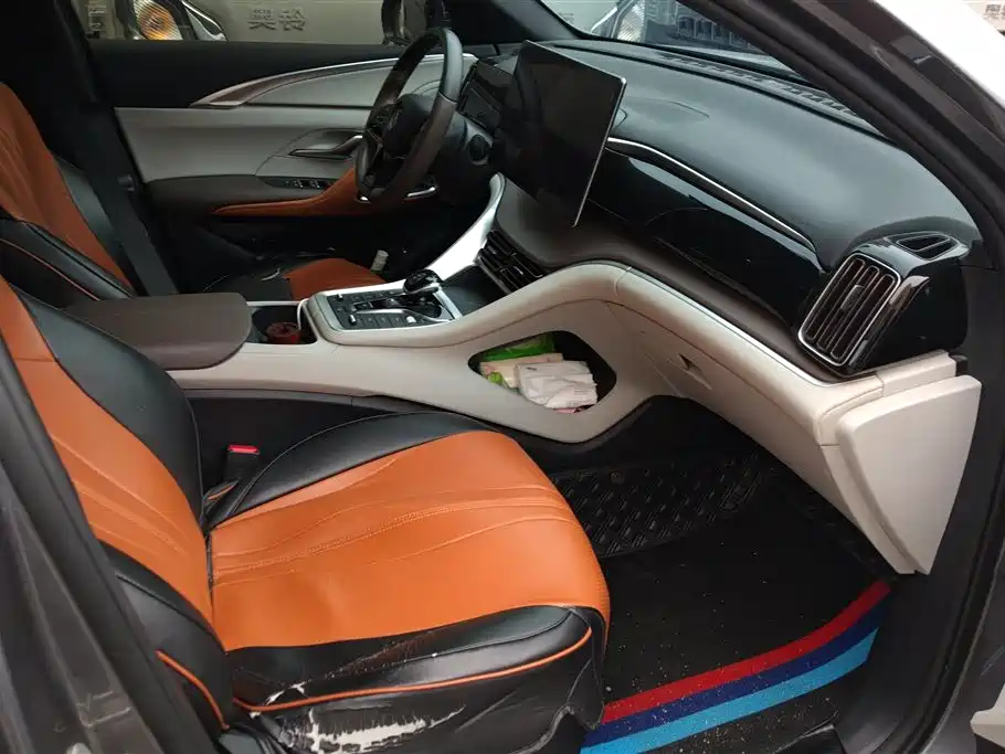 BYD Song Pro New Energy 2022 DM-i 51km Premium фото 8