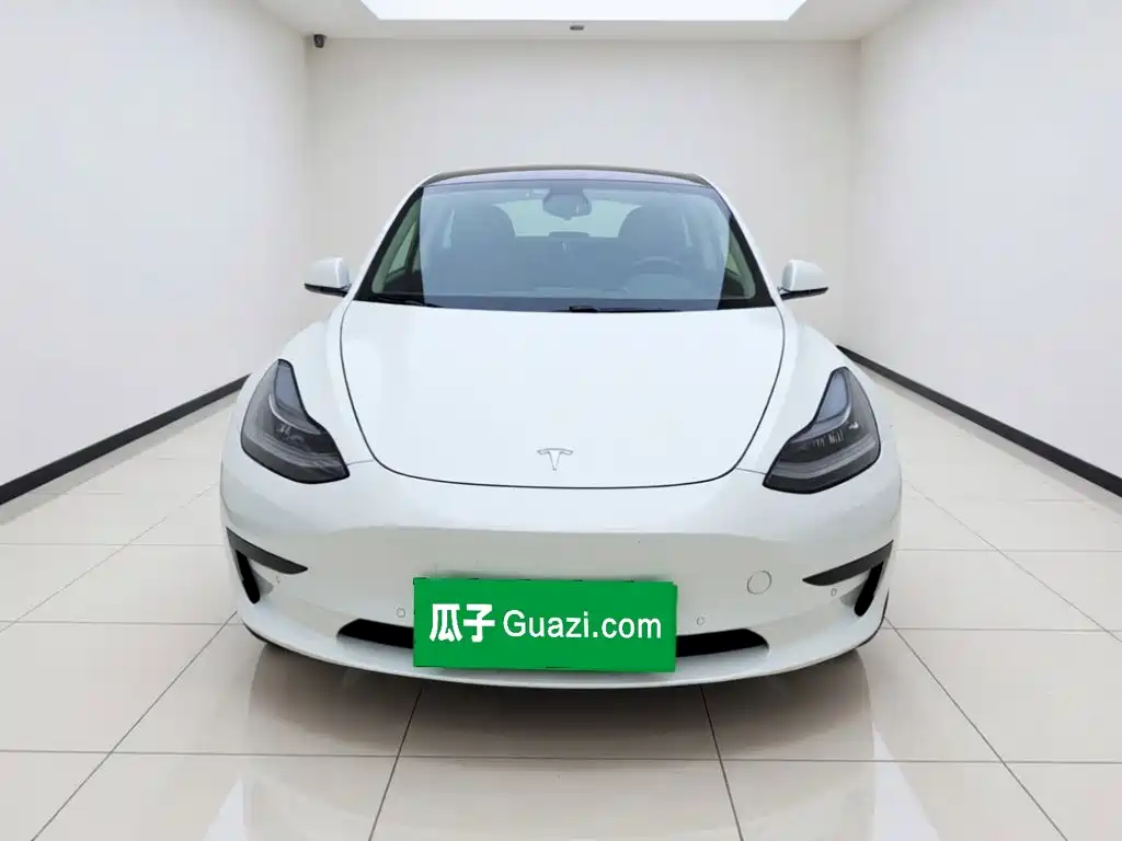 Tesla Model 3 2020 2019 Standard Range Rear-Wheel Drive Upgrade