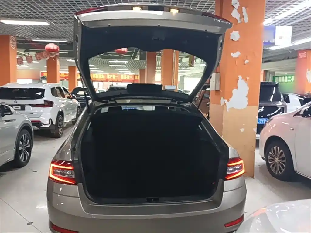 Škoda Octavia 2019 TSI280 DSG Smart Drive Luxury Edition China VI фото 19