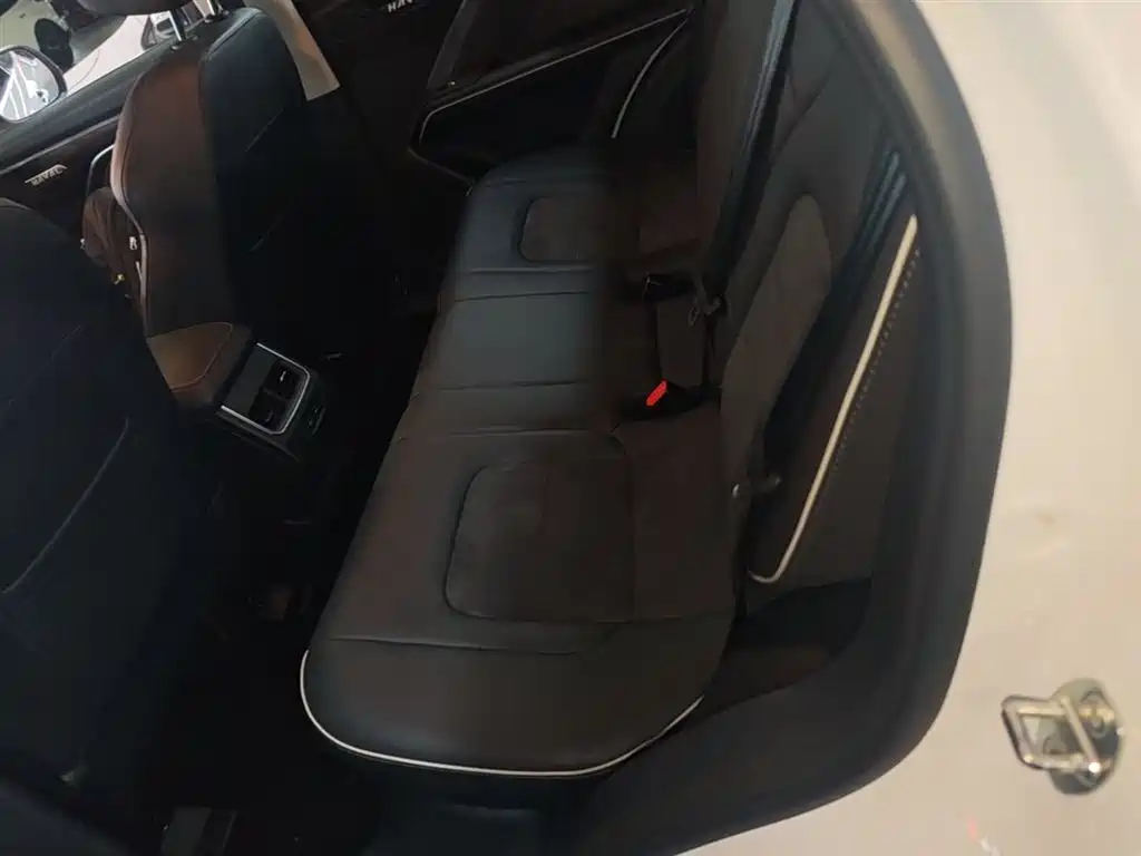 Haval H6 2023 National Trend Edition 1.5T Automatic Urban фото 17