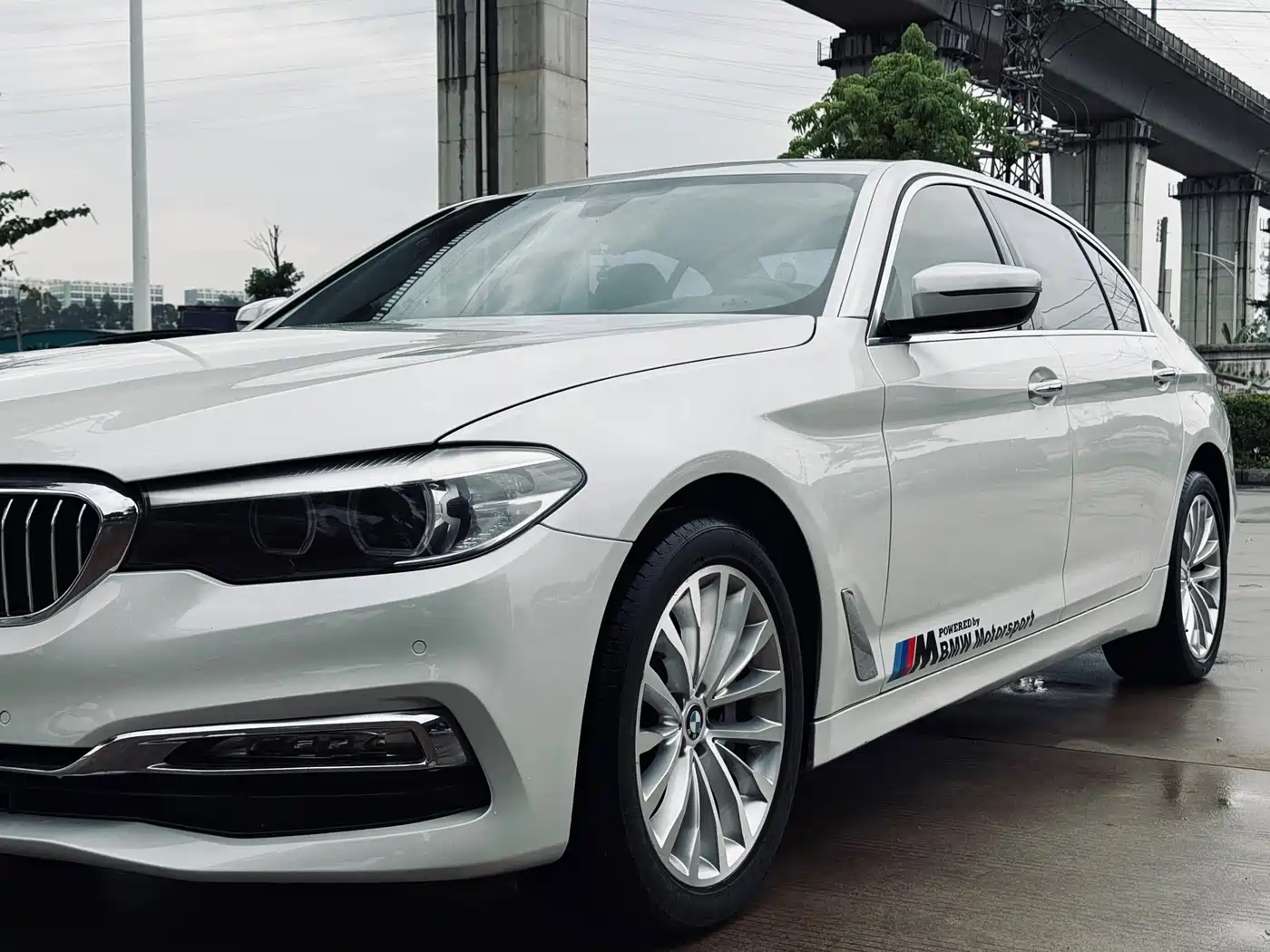 BMW 5 Series 2018 530Li Leading Luxury Package фото 12
