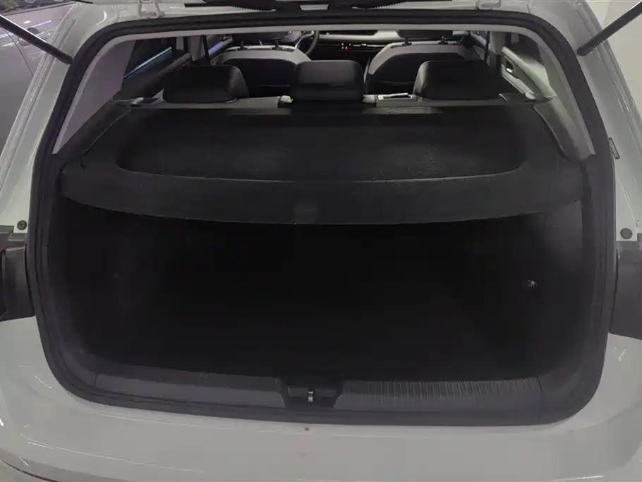 Volkswagen Golf 2021 280TSI DSG Pro фото 4