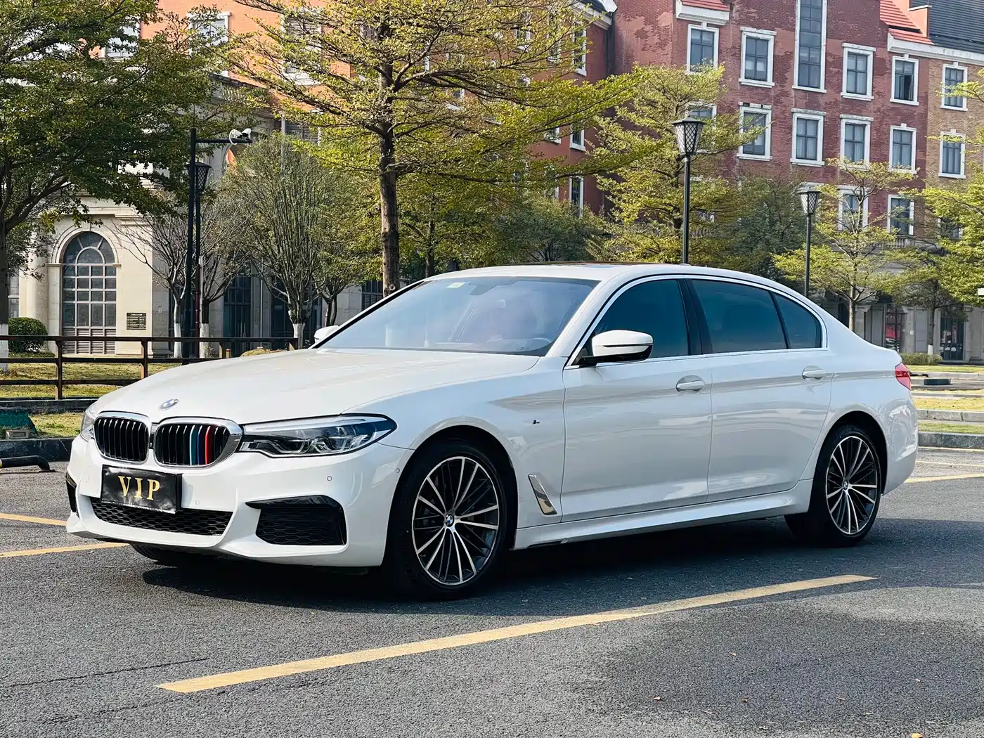 BMW 5 Series 2020 530Li Leading M Sport Package