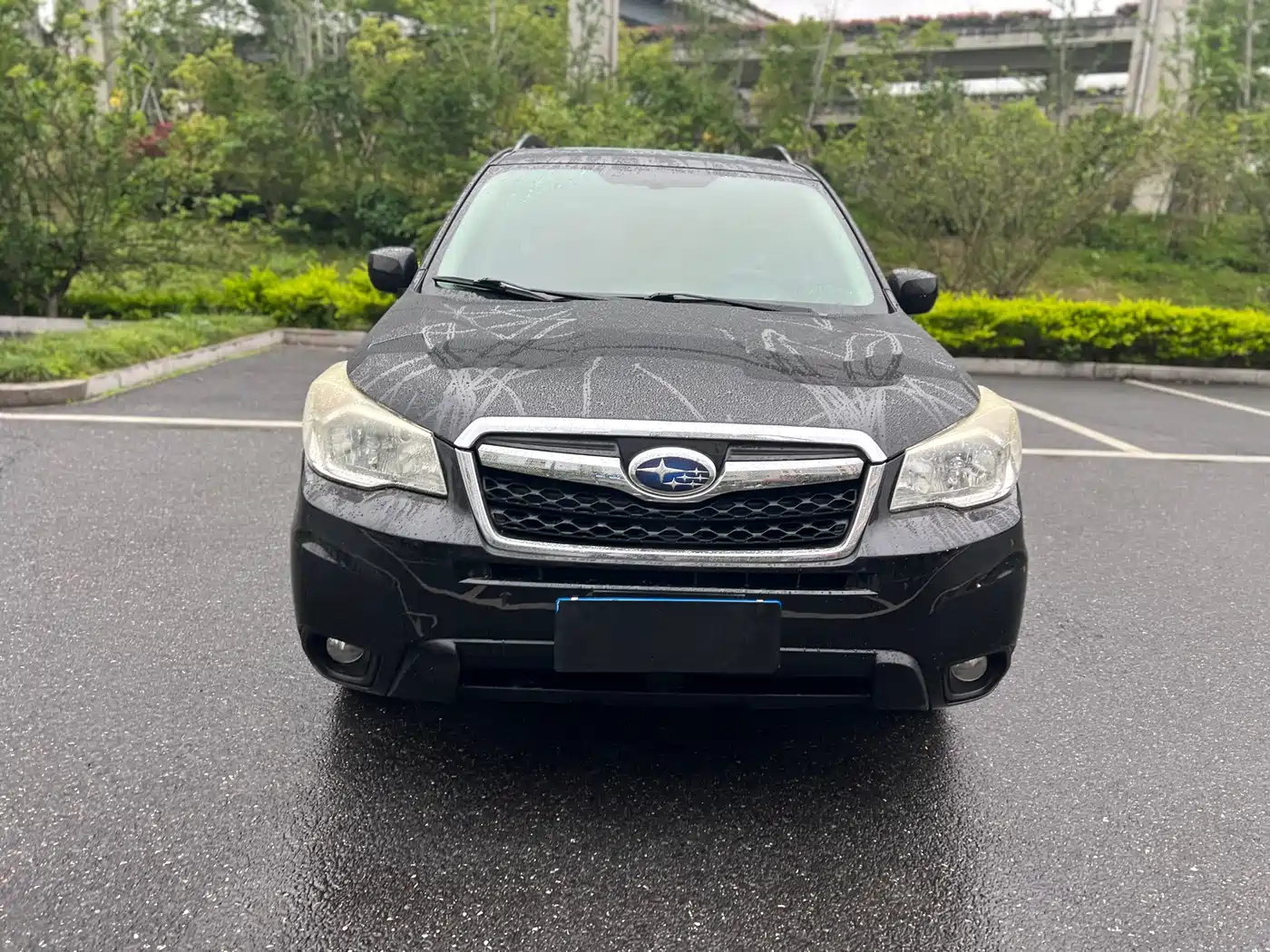 Subaru Forester 2013 2.5i Automatic Elite Edition фото 2