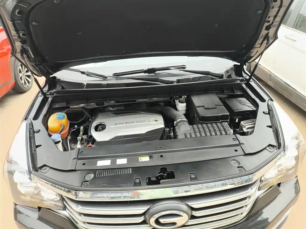 GAC Trumpchi Trumpchi GS8 2017 320T AWD Luxury Smart Connect (7-Seater) фото 20