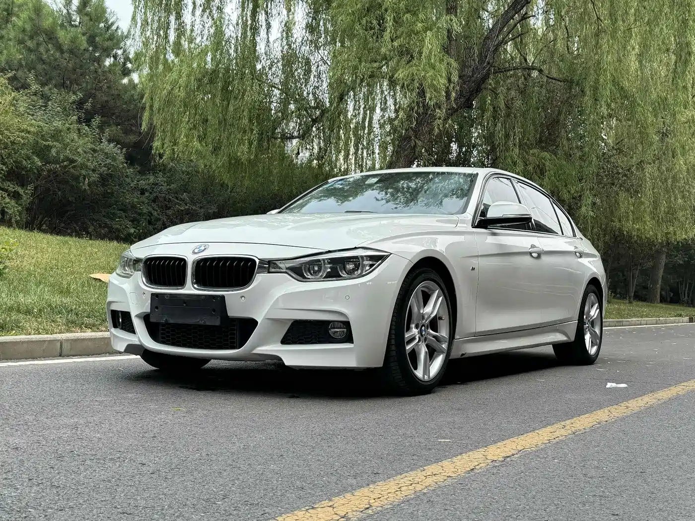 BMW 3 Series 2017 320Li M Sport