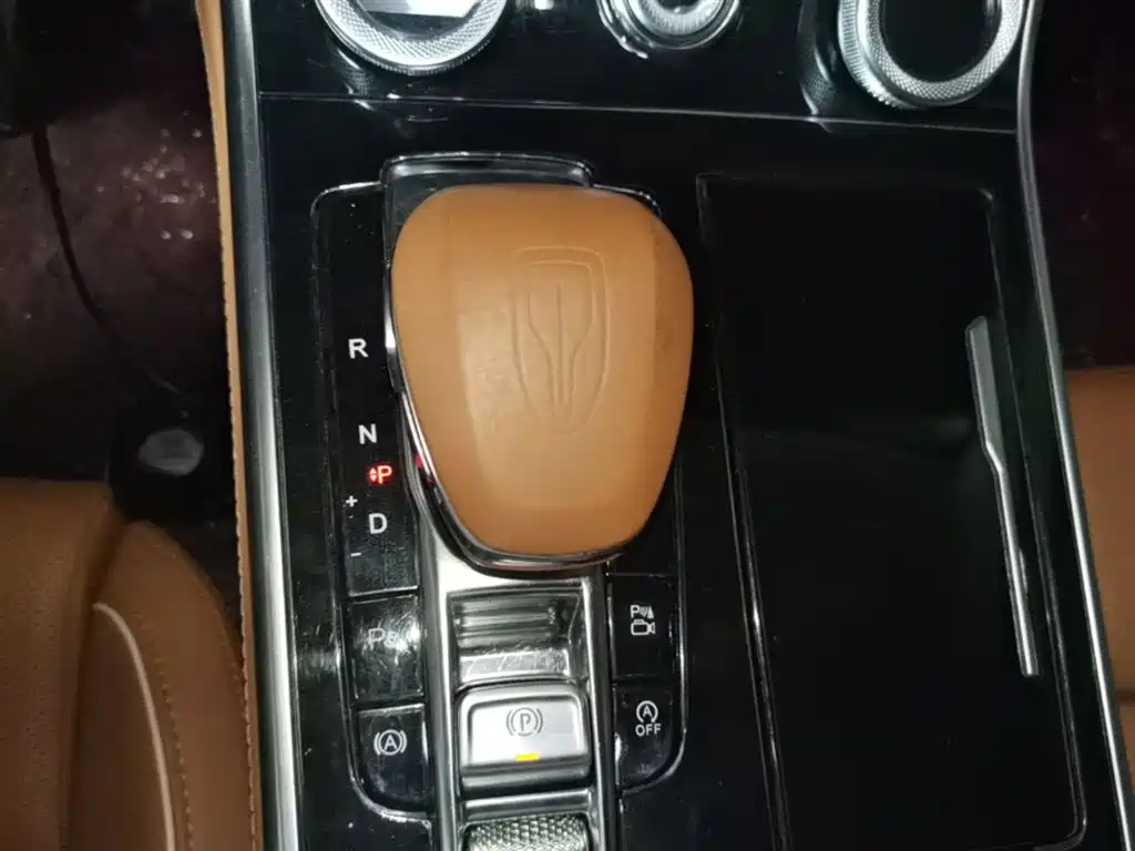 Hongqi H9 2022 2.0T Smart Connect Flag Smooth Edition фото 14