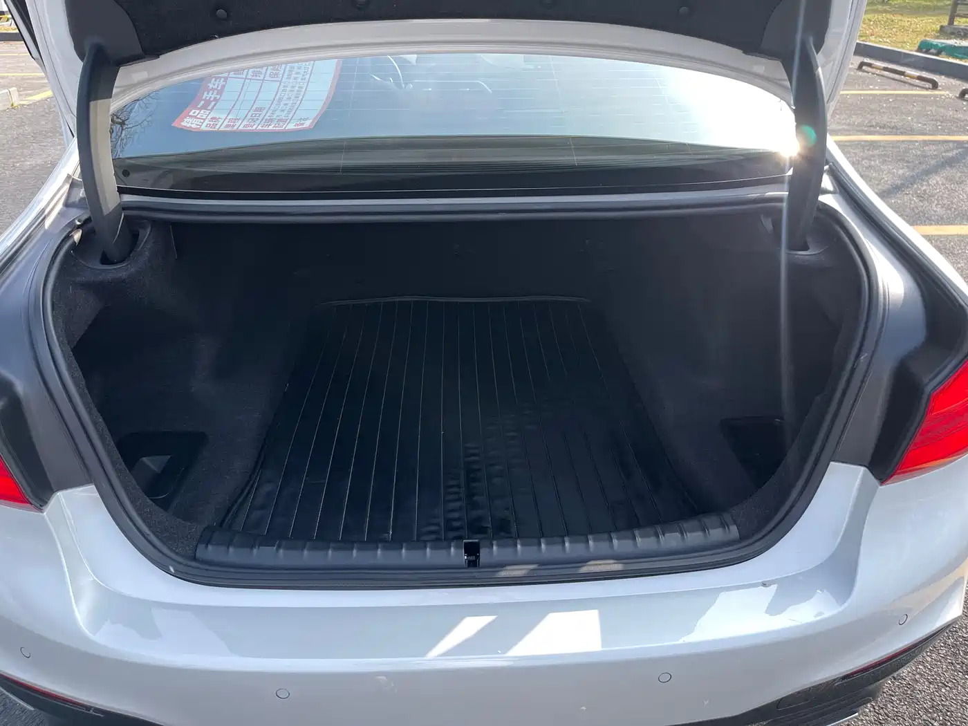 BMW 5 Series 2020 530Li Leading M Sport Package фото 18