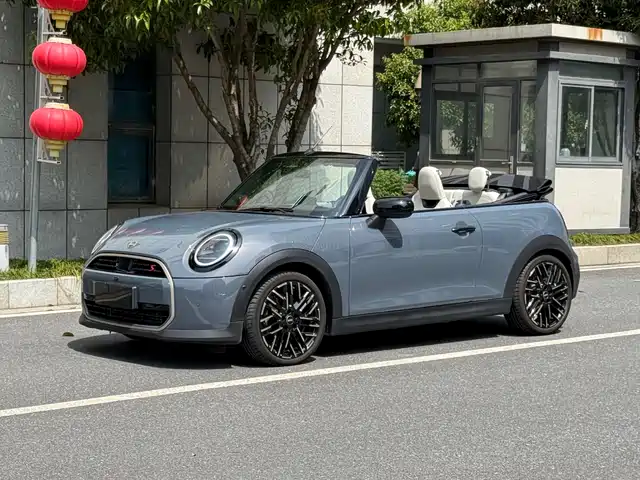 MINI 