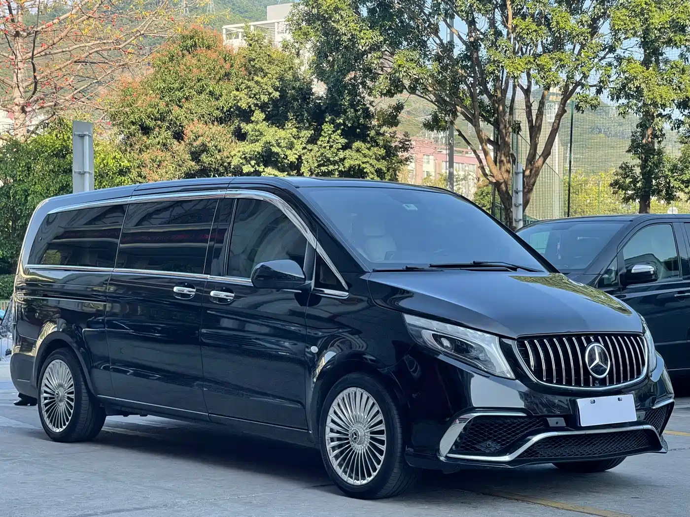 Mercedes-Benz Vito 2021 2.0T Business Edition 7-seater фото 3