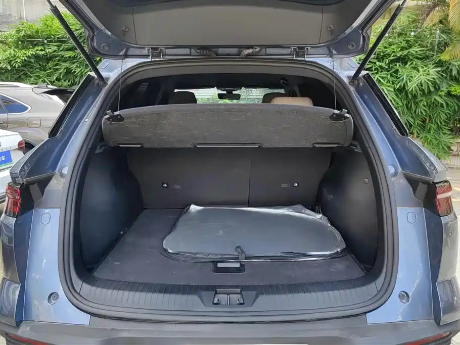 BYD Song Pro New Energy 2024 Glory Edition DM-i 71KM Pilot фото 4