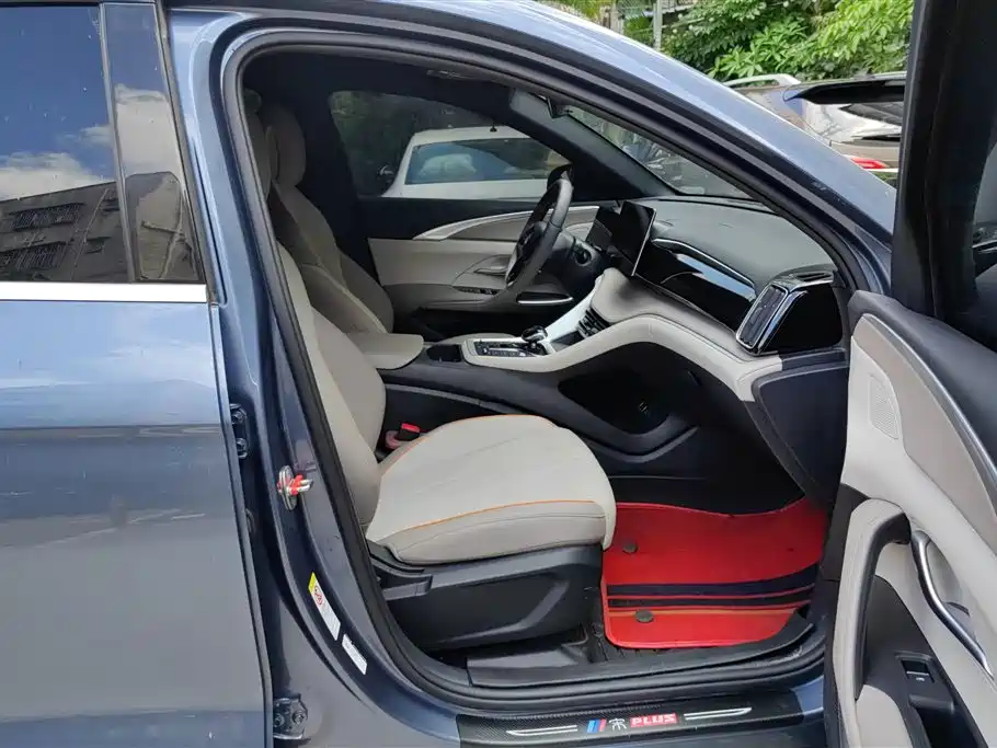 BYD Song Pro New Energy 2024 Glory Edition DM-i 71KM Pilot фото 8