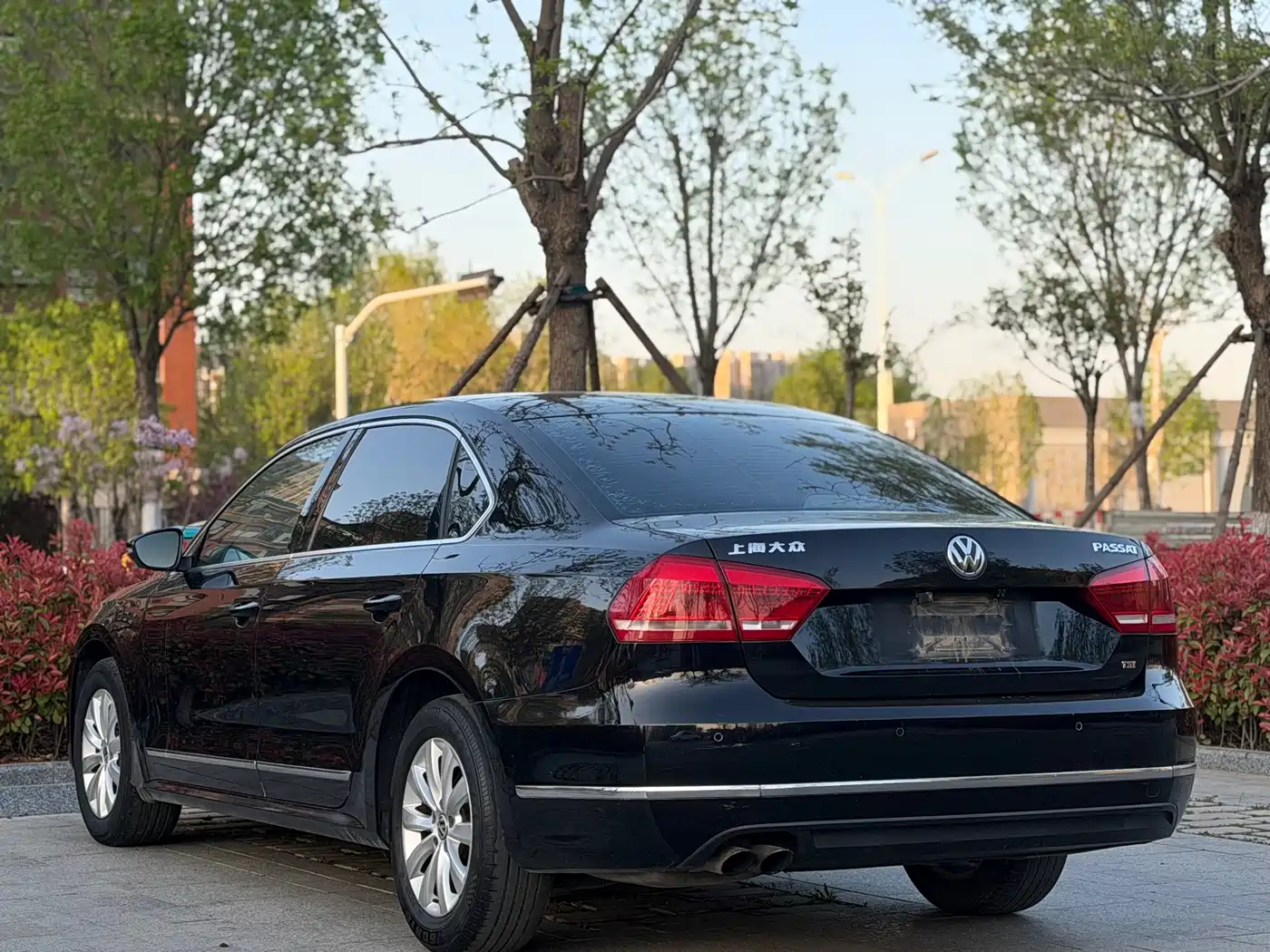 Volkswagen Passat 2014 1.8TSI DSG Luxury Edition фото 4