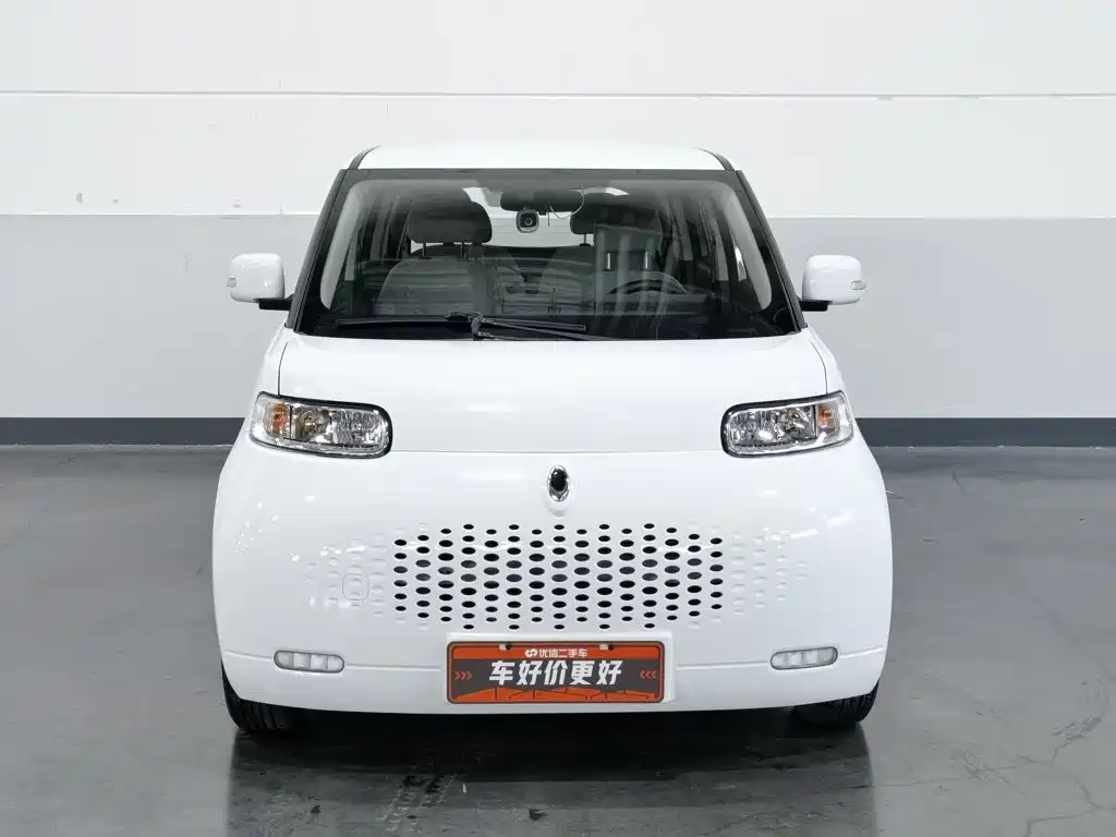 Ora White Cat 2021 2020 360km Luxury Model