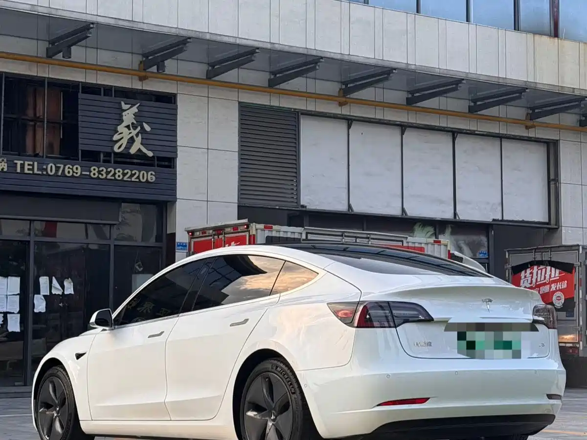 Tesla Model 3 2020 2020 Standard Range Rear-Wheel Drive Upgrade