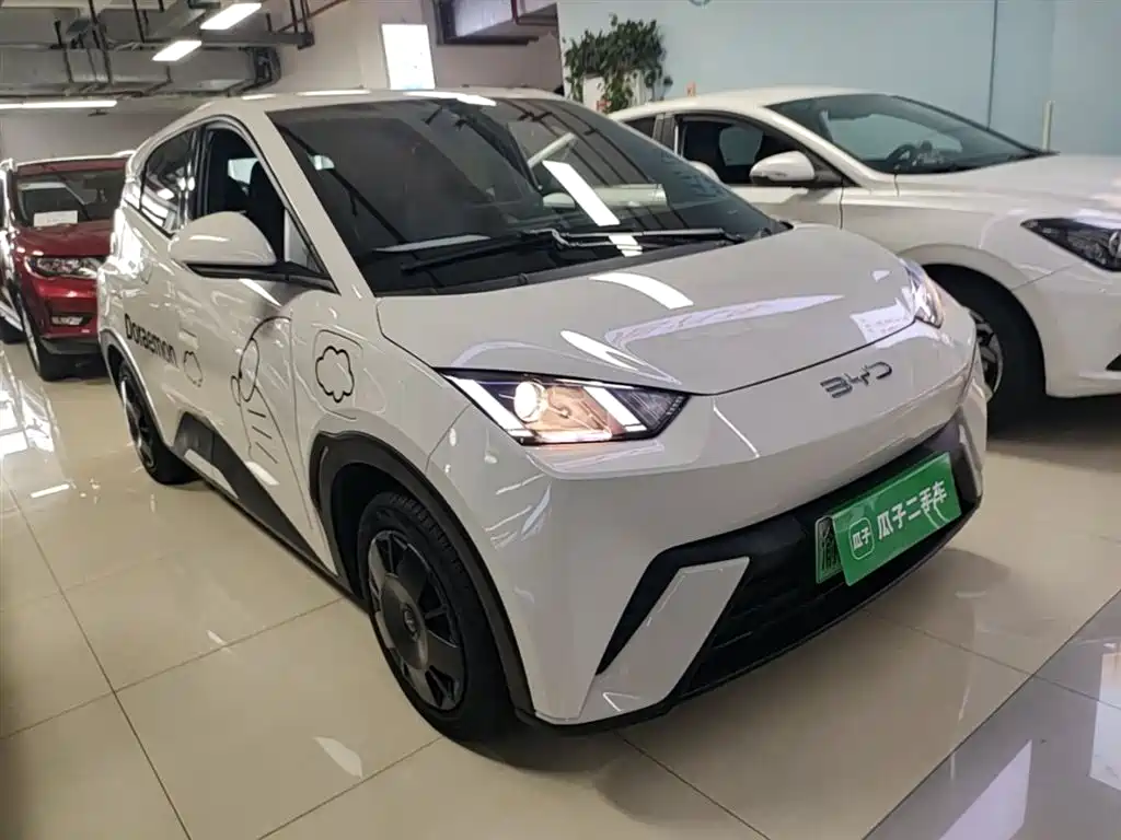 BYD Seagull 2024 Glory Edition 305km Vitality Edition фото 4