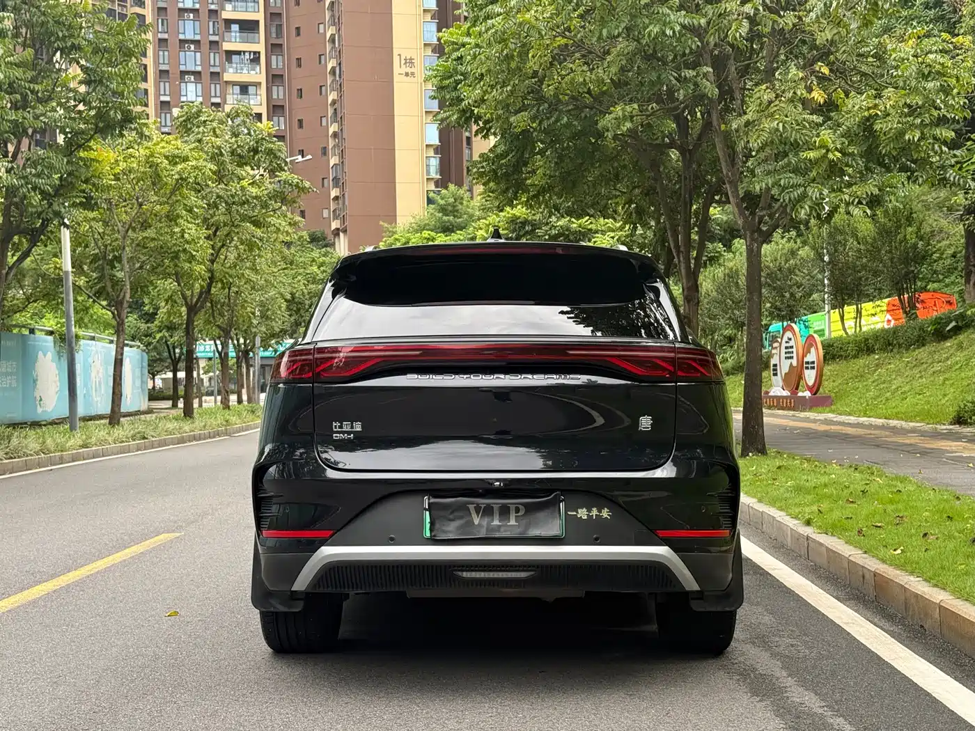 BYD Tang New Energy 2025 2025 DM-i 115KM Prestige Type
