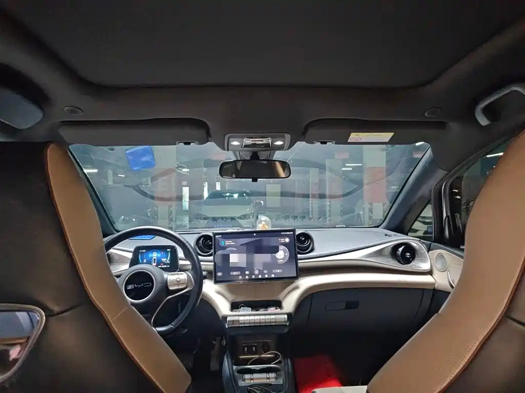 BYD Dolphin 2023 420km Fashion Edition фото 15