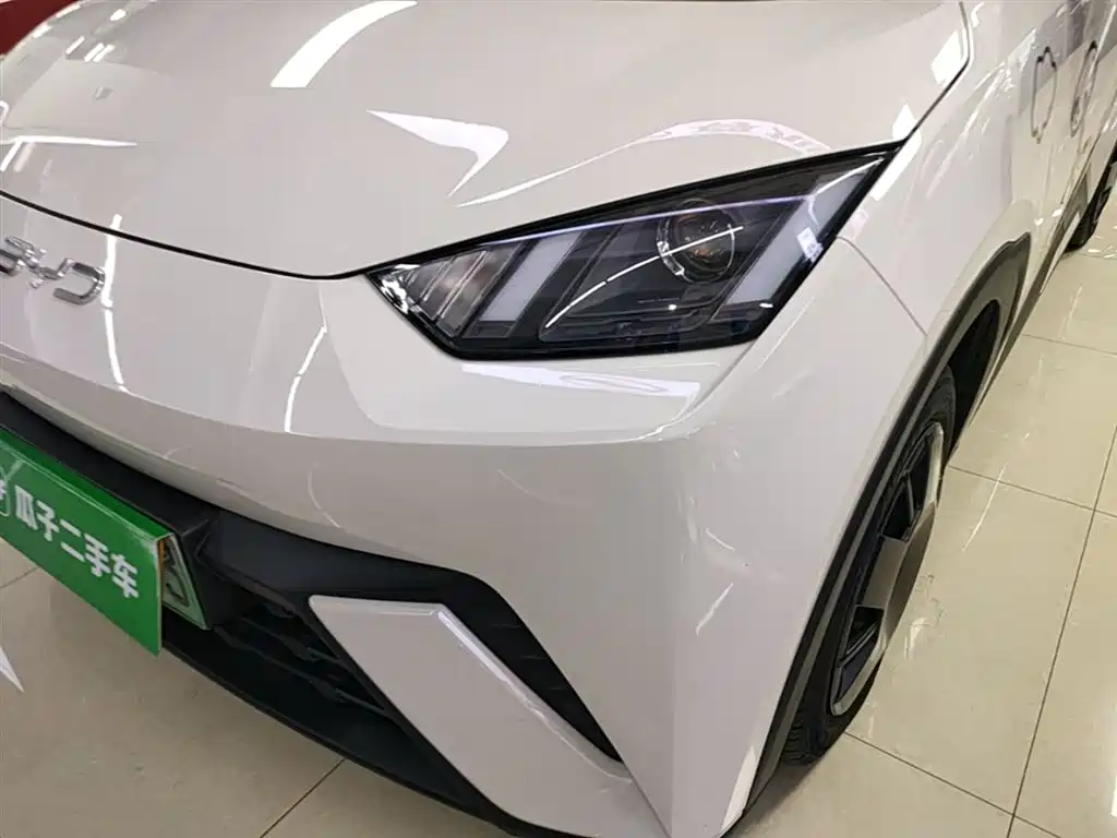 BYD Seagull 2024 Glory Edition 305km Vitality Edition фото 24