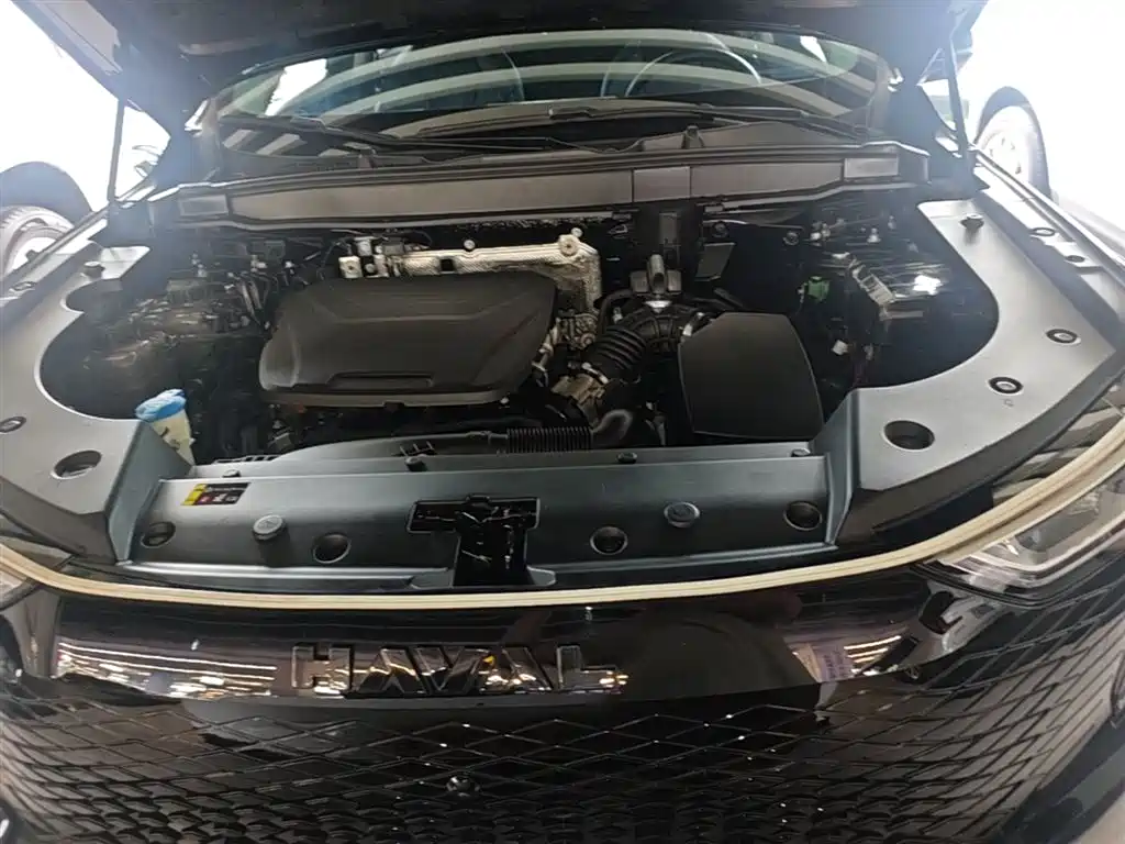 Haval Xiaolong MAX 2023 1.5L Hi4 105 4WD Pilot Edition фото 19