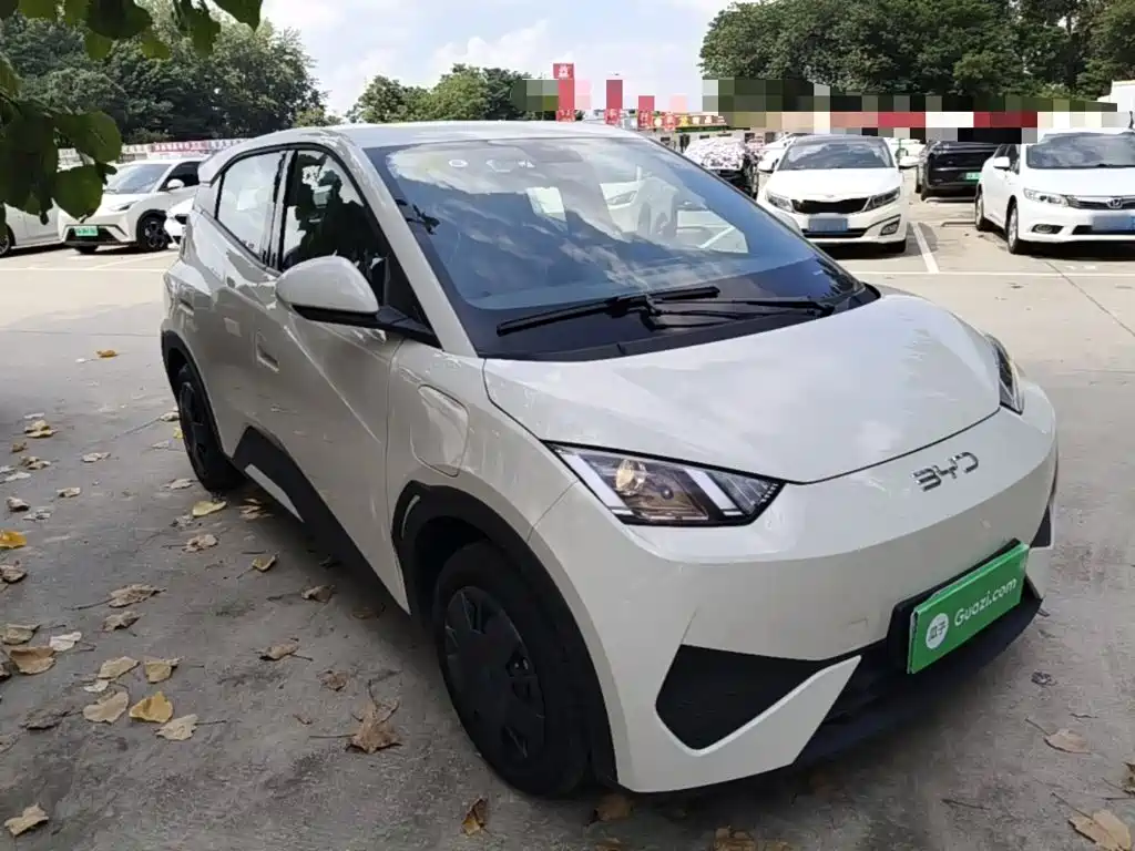 BYD Seagull 2026 2025 Smart Drive Edition 305km Vitality Version