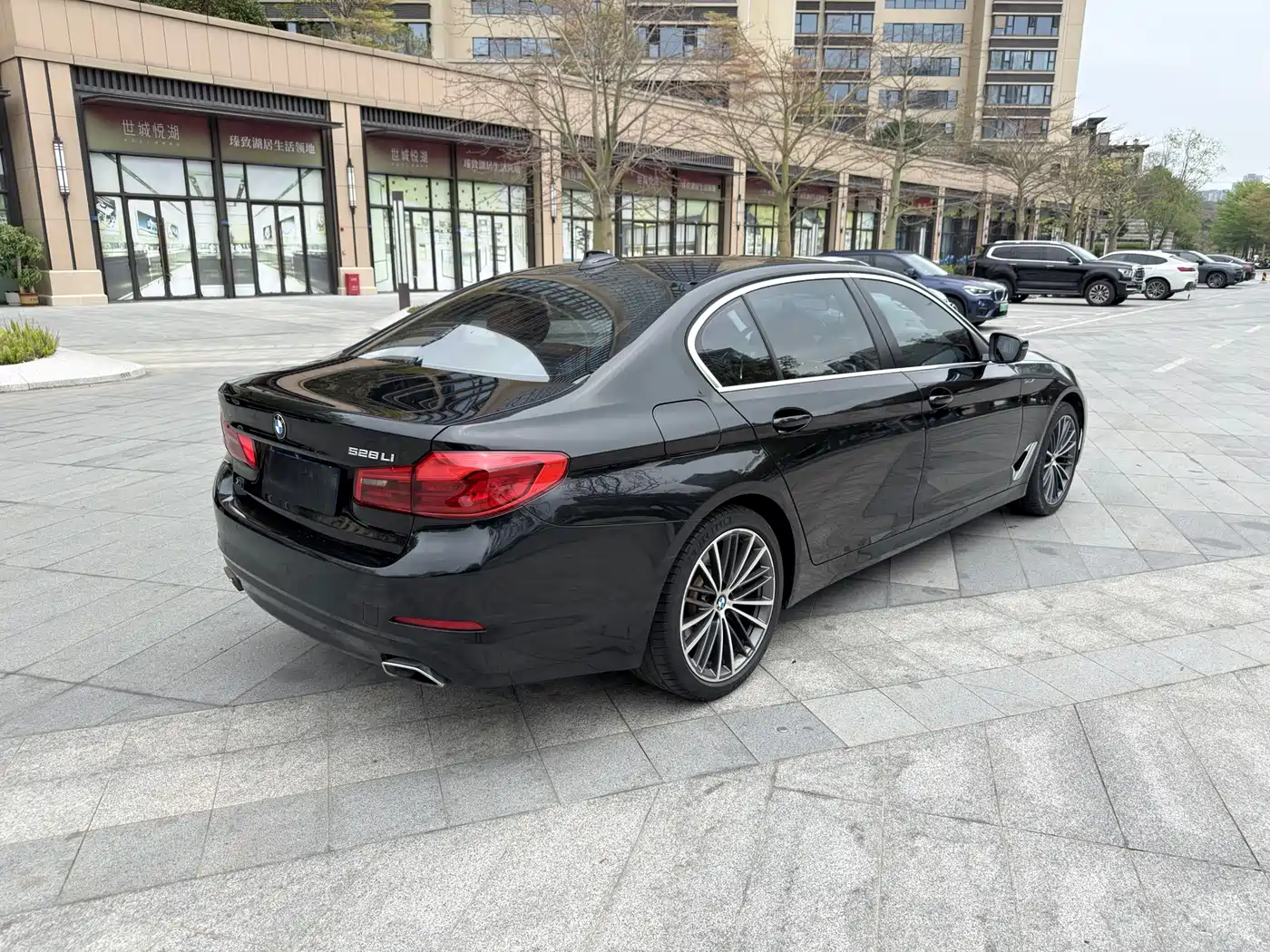 BMW 5 Series 2018 528Li Launch Special Edition фото 9
