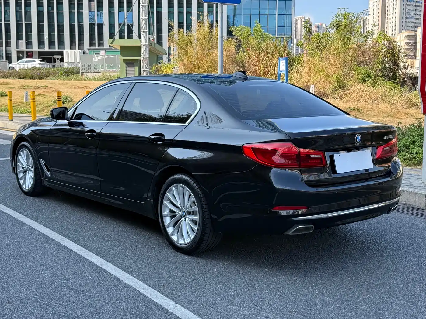 BMW 5 Series 2019 530Li Leading Luxury Package фото 6