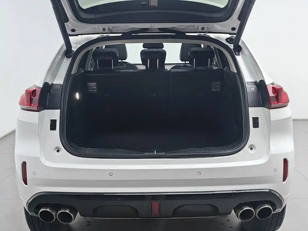 WEY VV5 2017 2017 2.0T Super Luxury Model