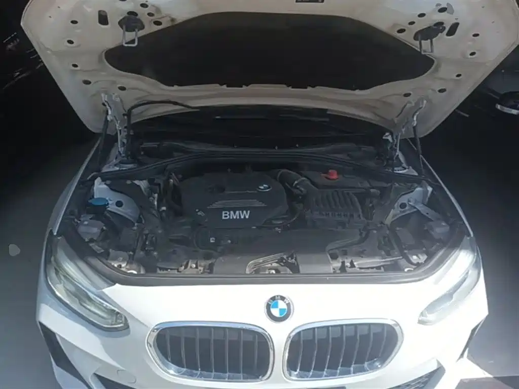 BMW 1 Series 2019 118i M Sport Package фото 20