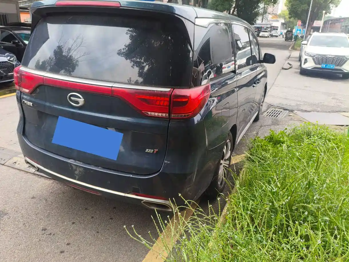 GAC Trumpchi Trumpchi M8 2018 320T Premium Edition фото 15