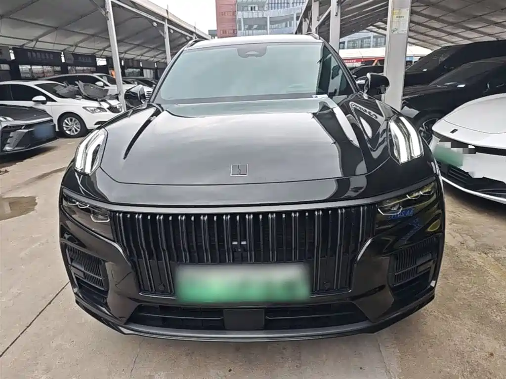 Lynk & Co 09 EM-P 2021 2.0T PHEV Halo 7-Seater фото 3