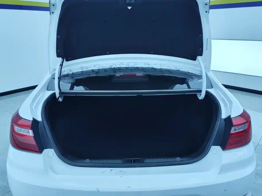 Фото 4 - Geely Vision