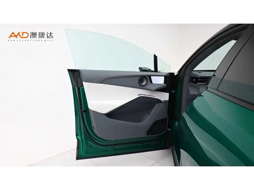 LOTUS SPORTS CAR ELETRE