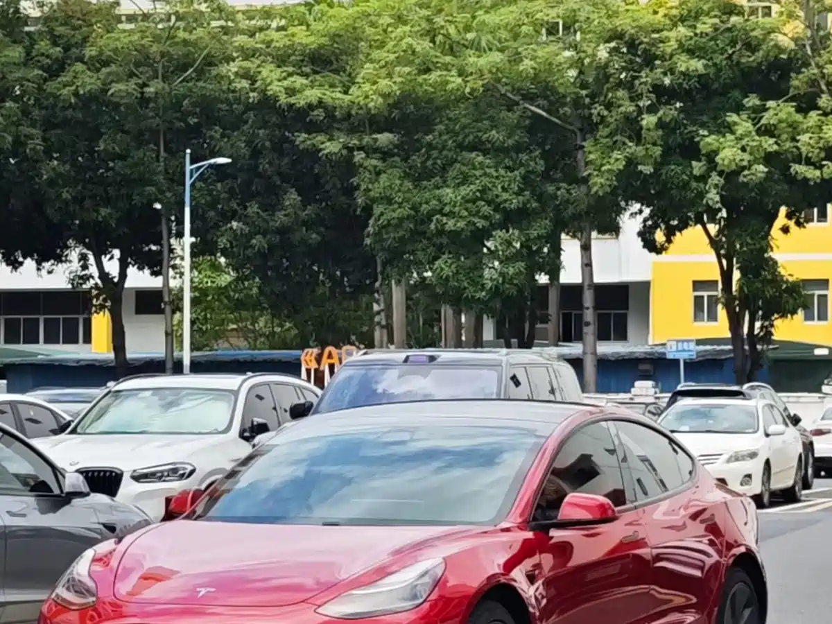 Tesla Model 3 (Import) 2019 2019 Standard Range RWD Upgraded Edition