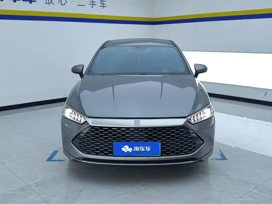 BYD Qin PLUS 2024 Glory Edition DM-i 55KM Leading фото 2