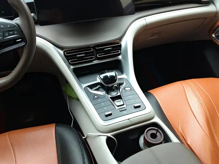 BYD Song Pro New Energy 2022 DM-i 51km Premium фото 16
