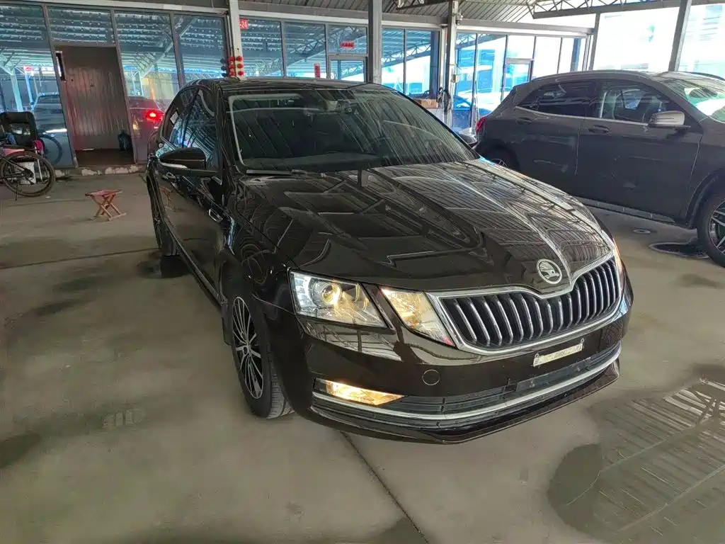 Škoda Octavia 2018 1.6L Automatic Luxury фото 22