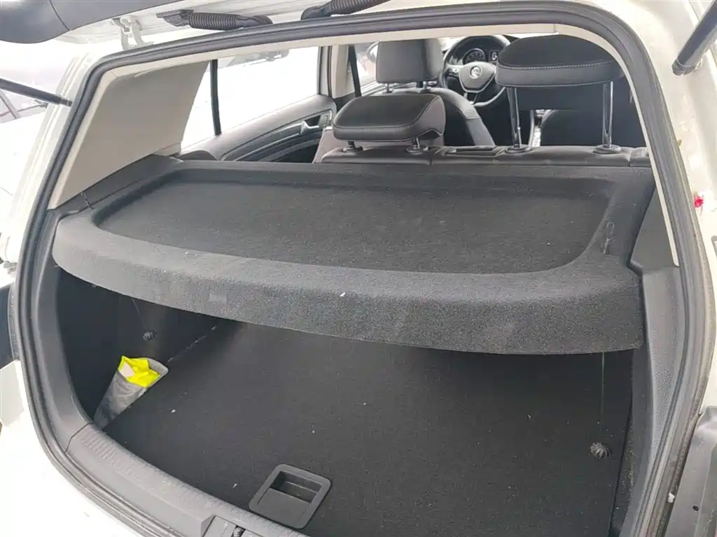 Volkswagen Golf 2019 280TSI DSG Luxury (China V) фото 19