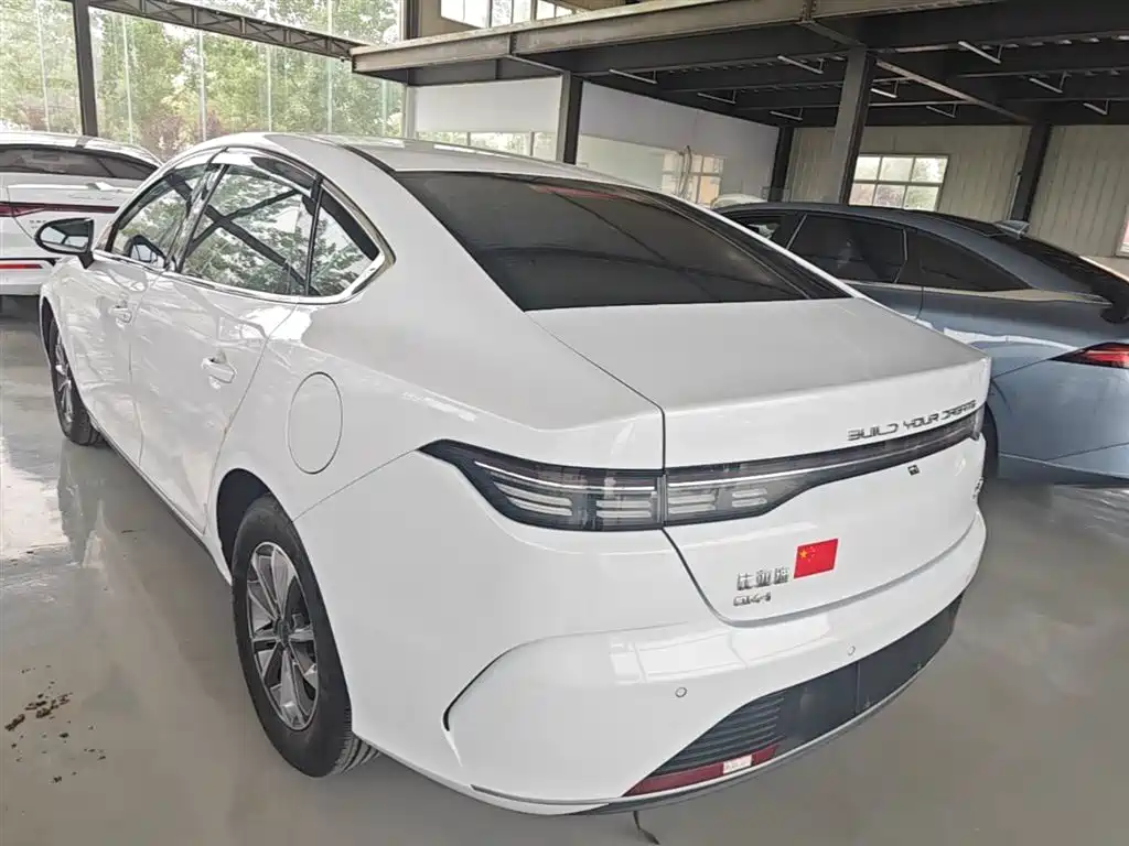 BYD Destroyer 05 2024 Glory Edition DM-i 55KM Luxury фото 5