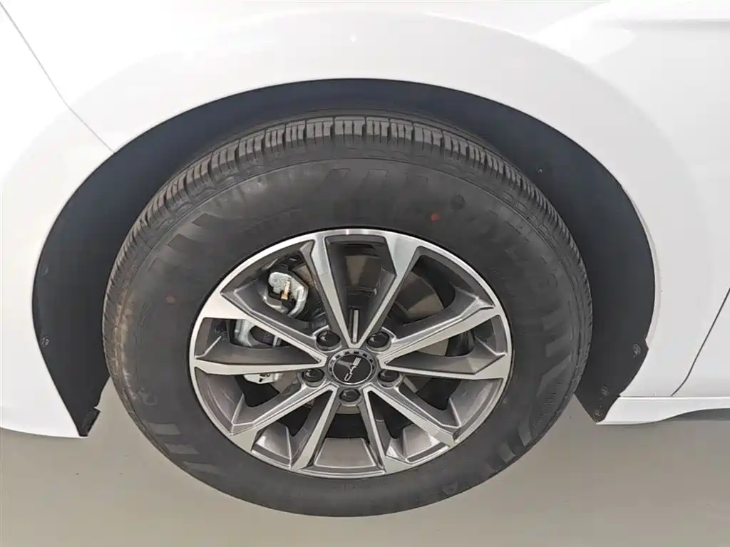 BYD Destroyer 05 2024 Glory Edition DM-i 55KM Luxury фото 23
