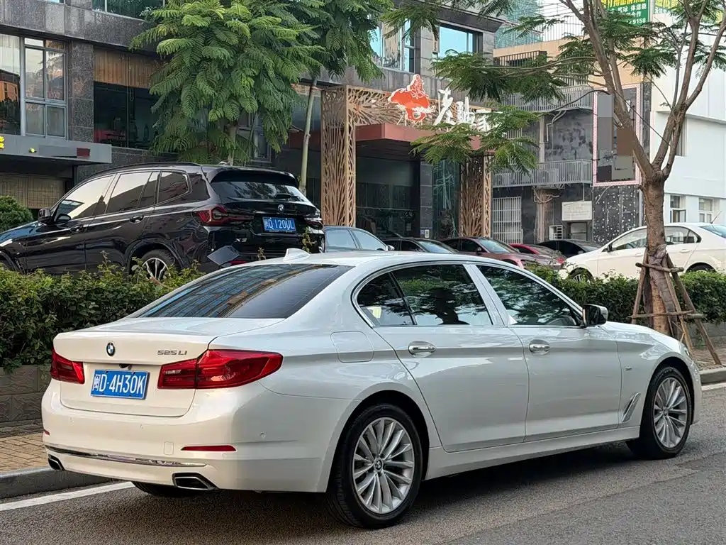 BMW 5 Series 2019 525Li M Sport Package фото 13