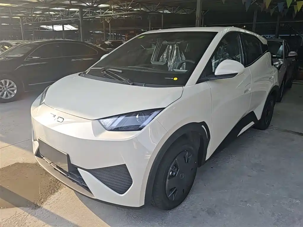 BYD Seagull 2025 Smart Drive Edition 305km Vitality Version фото 2