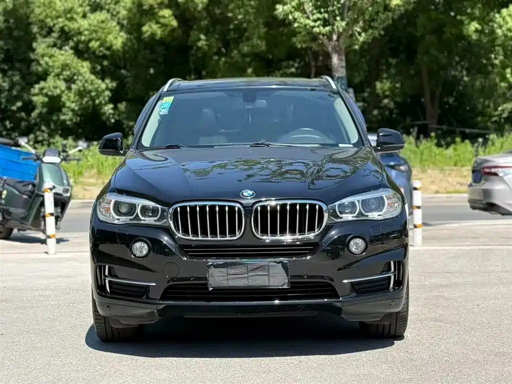 BMW X5 (Import) 2017 xDrive35i Elegance фото 2