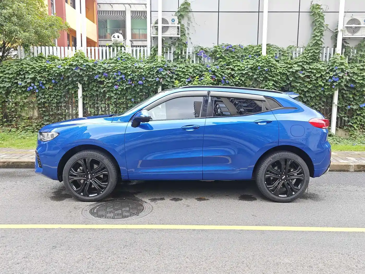WEY VV5 2018 2017 2.0T Flagship Model
